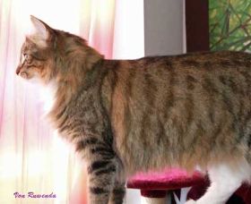 Beauty-am-Fenster.jpg