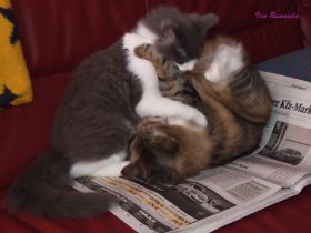 Mutter-und-Tochter (1).jpg