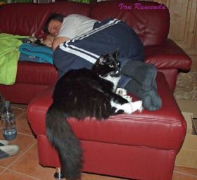 Samy-Opal-Marcus-auf-Sofa.jpg