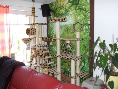 Wohnzimmer der Norwegischen Waldkatzen von Ruwenda